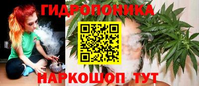 мдпв Гай