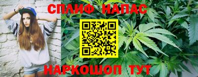 мдпв Гай
