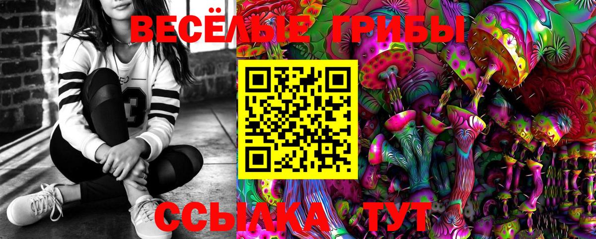 Галлюциногенные грибы GOLDEN TEACHER  Псилоцибиновые грибы мицелий  Кумертау  Вход с VPN 